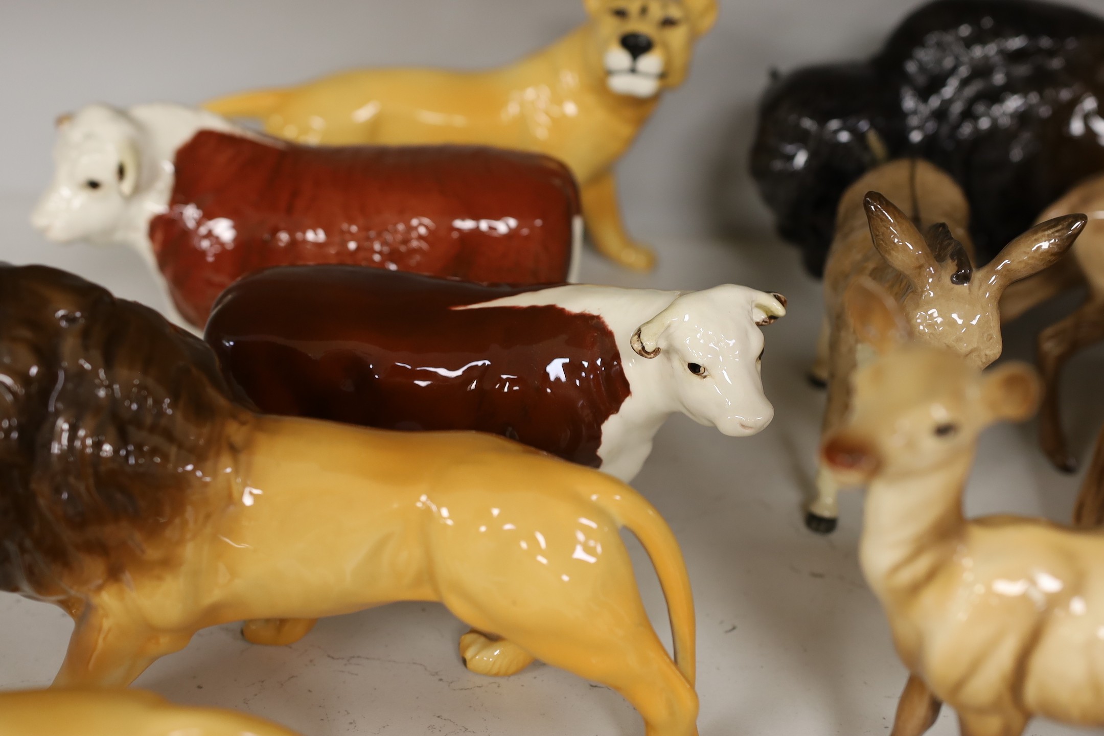 A selection of Beswick animals, to include four bulls and two calves, stag, deer, fawn, fox, panda, falcon, donkey, foal, lioness, lion, and a lion cub (17)